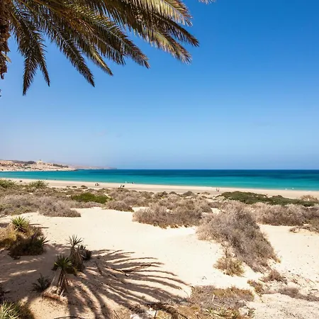 Near The With Huge Terrace, Parking And Wifi Daire *