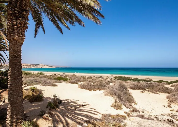 Near The With Huge Terrace, Parking And Wifi Apartman *